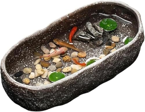 鉢 大型 睡蓮鉢」の人気商品一覧 | 安い商品を通販サイトから探す